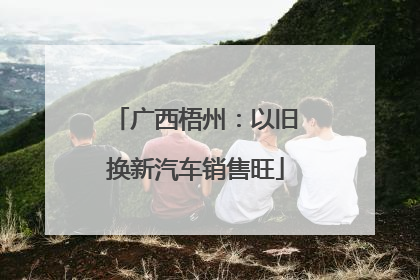 广西梧州：以旧换新汽车销售旺